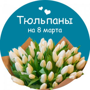 Купить тюльпаны в Йошкар-Оле